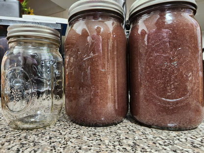 Seamoss Gel infused with Elderberries (immune boosting), Ashwagandha (manage stress, & Lions Mane (focus)
