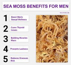 Seamoss Gel infused with Elderberries (immune boosting), Ashwagandha (manage stress, & Lions Mane (focus)