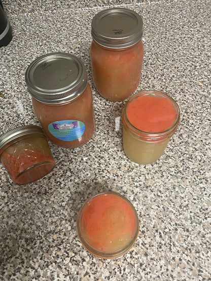 Seamoss Gel infused with Elderberries (immune boosting), Ashwagandha (manage stress, & Lions Mane (focus)